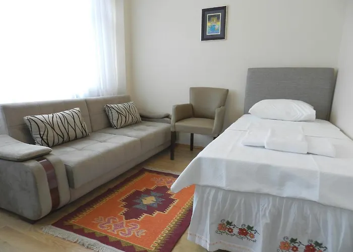 Hotel Oid Hagia Sophia Pansion *